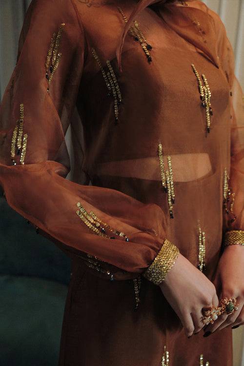 Saira Rizwan | Riona Luxury Formals | Coco A - Pakistani Designer Dress - by Saira Rizwan | Type: Formal - 100% Original at Saira Sultan