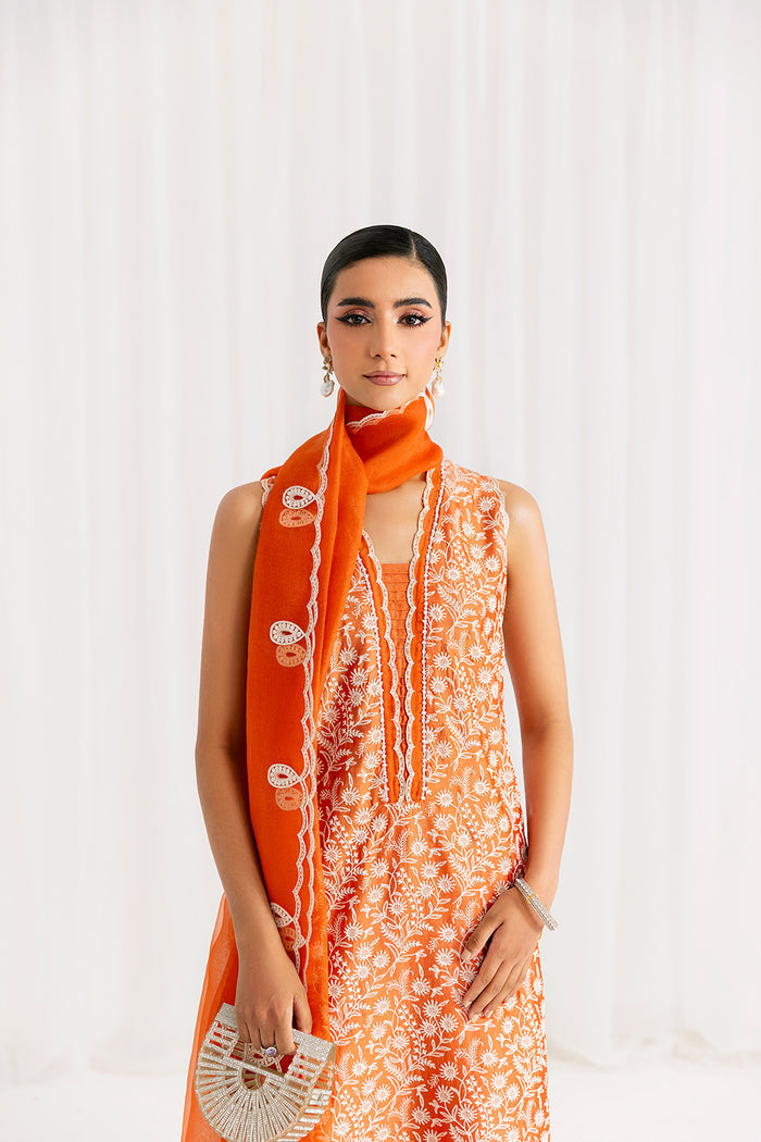 Saira Rizwan | Silk Pret 25 | EIRA - Pakistani Designer Dress - by Saira Rizwan - Type : Ladies Clothes - 100% Original at Saira Sultan