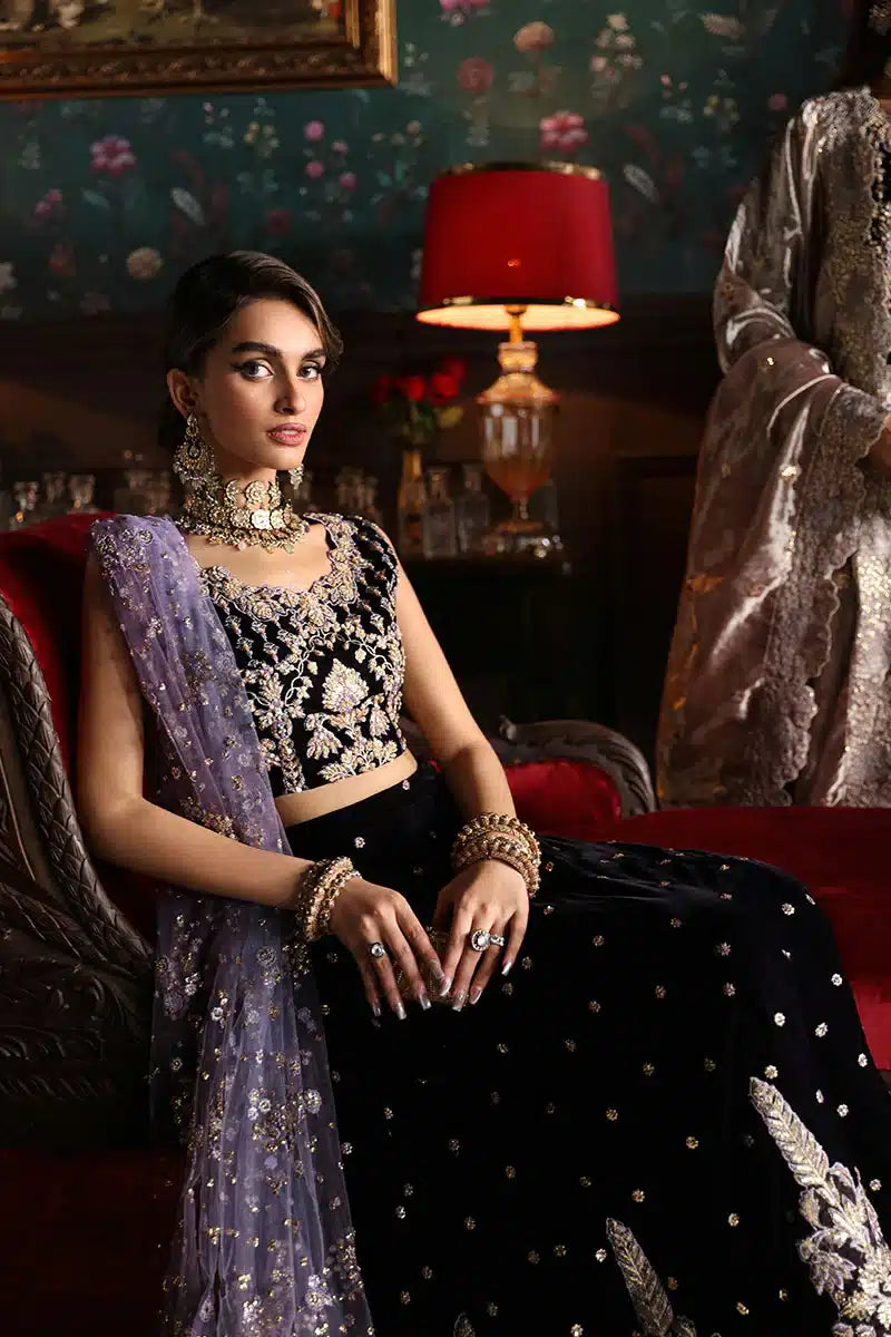Mushq | Niloufer Velvet Edit 23 | Shirin - Pakistani Designer Dress - by Mushq | Type: Bridal - 100% Original at Saira Sultan
