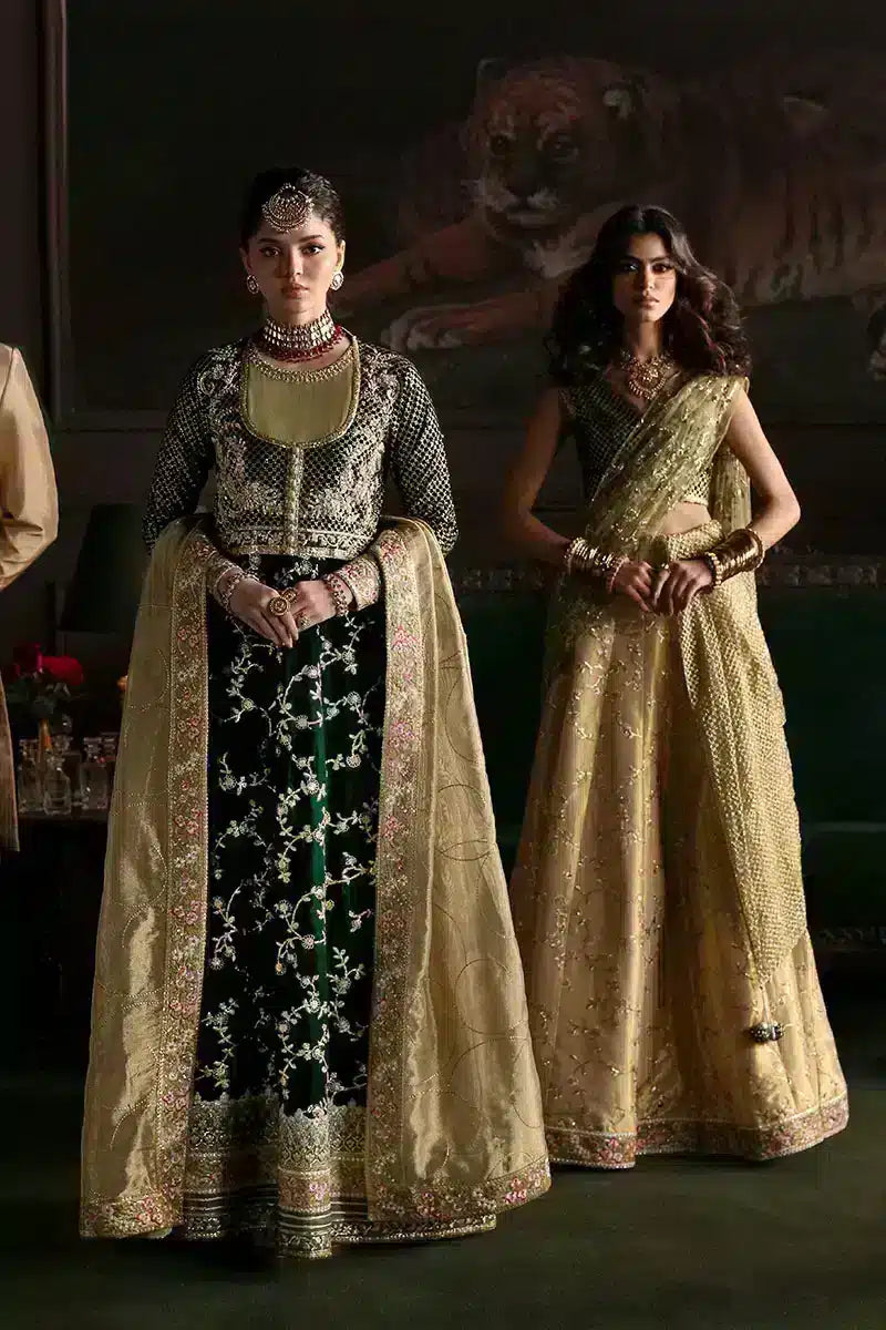 Mushq | Niloufer Velvet Edit 23 | Shahinaz - Pakistani Designer Dress - by Mushq | Type: Bridal - 100% Original at Saira Sultan