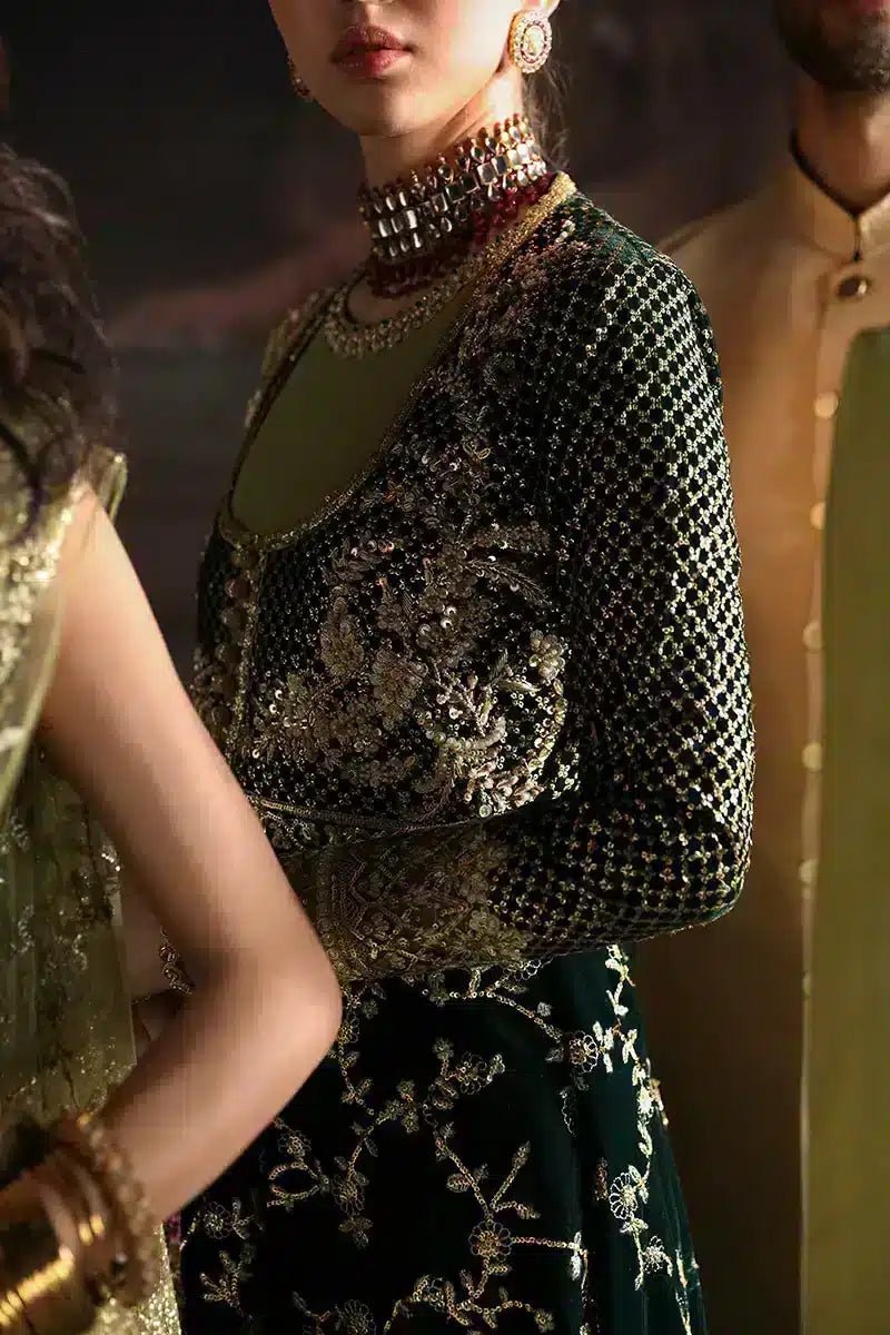 Mushq | Niloufer Velvet Edit 23 | Shahinaz - Pakistani Designer Dress - by Mushq | Type: Bridal - 100% Original at Saira Sultan