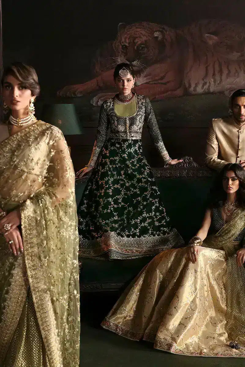 Mushq | Niloufer Velvet Edit 23 | Shahinaz - Pakistani Designer Dress - by Mushq | Type: Bridal - 100% Original at Saira Sultan