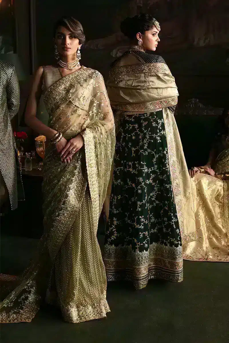 Mushq | Niloufer Velvet Edit 23 | Shahinaz - Pakistani Designer Dress - by Mushq | Type: Bridal - 100% Original at Saira Sultan