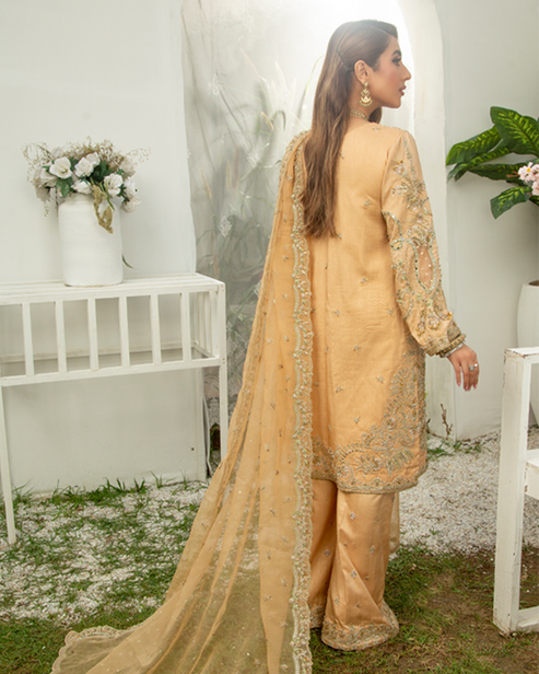 Nyra | Wedding Formals 24 | Rhea - Pakistani Designer Dress - by Nyra | Type: Bridal - 100% Original at Saira Sultan