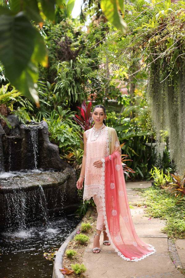 Noor by Saadia Asad | Luxury Chikankari Lawn24 | D7-B Peach Tkm - Pakistani Designer Dress - by Noor by Saadia Asad | Type: Luxury - 100% Original at Saira Sultan