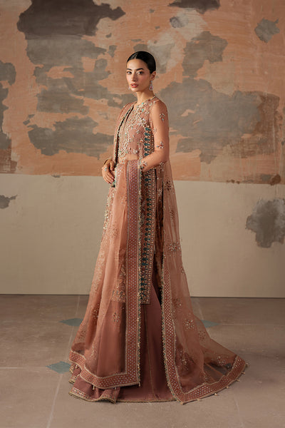 Ayzel | Solaris Wedding Formals 25 | ROSARA by Ayzel - Designer Dress - Type : Ladies Clothes - Available at Saira Sultan - 100% Original