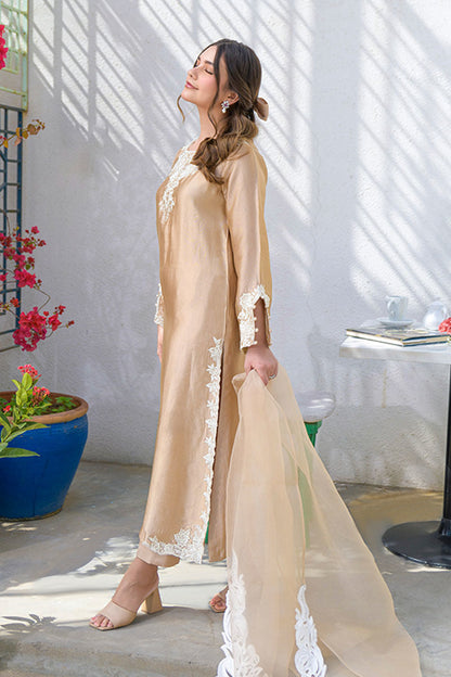 Fatima Khan | La Fleur Eid Edit | Beigetastic S Beige Pure Sheesha Silk