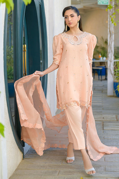 Fatima Khan | La Fleur Eid Edit | Peach Buzz XL Pale Peach Khadi Net