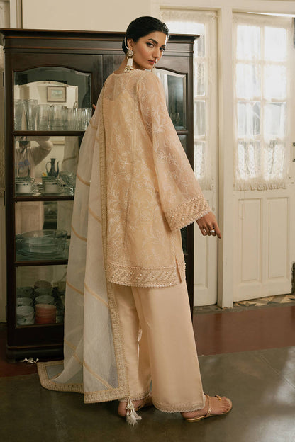 MNR | Ashiyana Festive Eid Collection 25 | Ayzal S Pale Peach Cotton Net