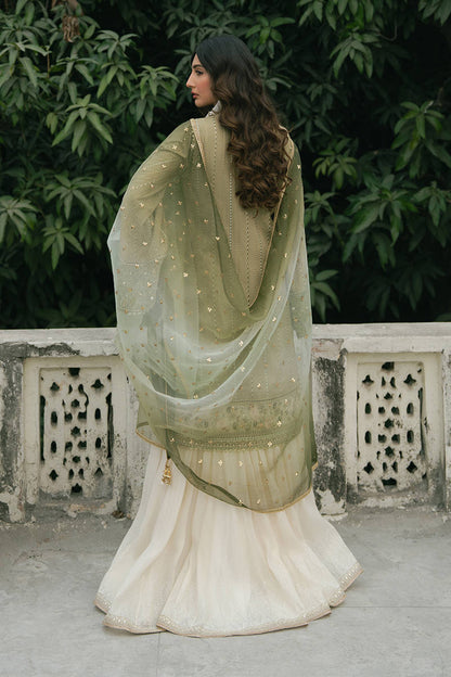 MNR | Ashiyana Festive Eid Collection 25 | Ayzal S Olive Cotton Net