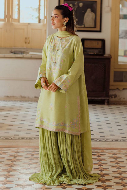 Ansab Jahangir | Luxe Pret Eid 24 | Leena - Pakistani Designer Dress - by Ansab Jahangir | Type: Luxury - 100% Original at Saira Sultan