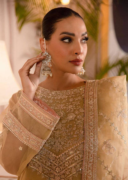 Daud Abbas | Formals Collection | Aftab - Pakistani Designer Dress - by Daud Abbas | Type: Formal - 100% Original at Saira Sultan