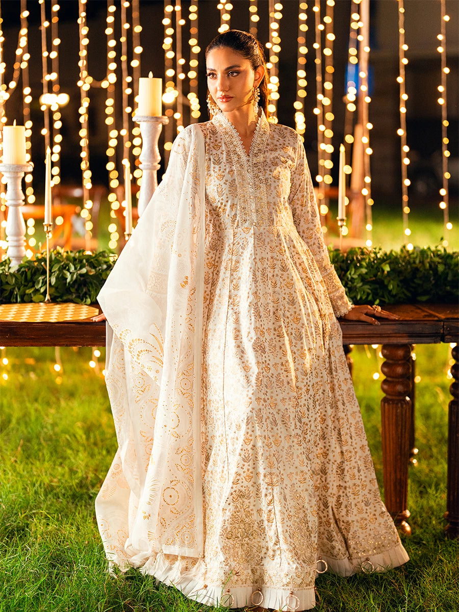 Salitex | Signature Festive Chiffon | UNS25WW002UT XS Off White Cambric