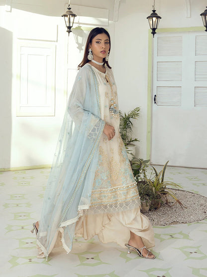 Salitex | Signature Festive Chiffon | SUNW6NO005UT XL Off White Cotton Net