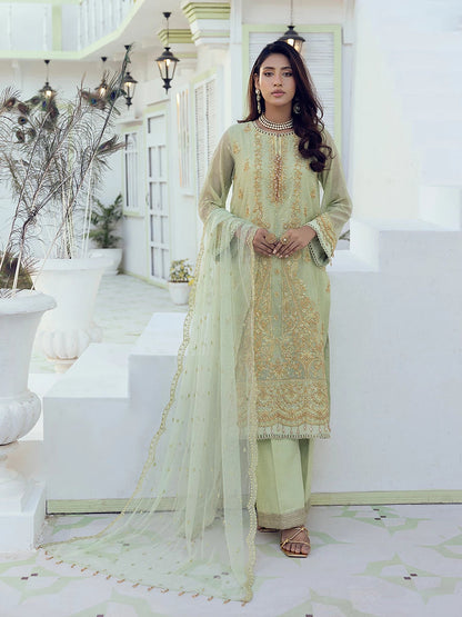 Salitex | Signature Festive Chiffon | SUNW6NO001UT L Mint Green Cotton Net