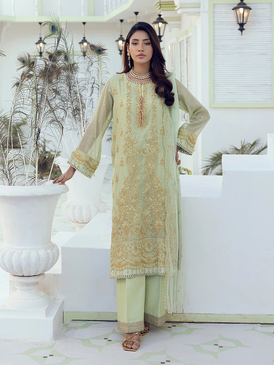 Salitex | Signature Festive Chiffon | SUNW6NO001UT XS Mint Green Cotton Net