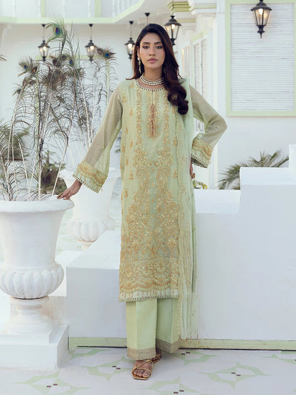 Salitex | Signature Festive Chiffon | SUNW6NO001UT XS Mint Green Cotton Net