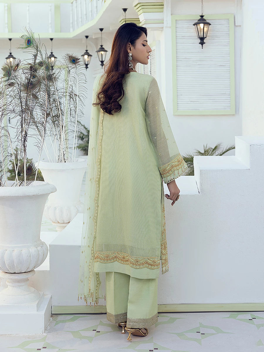 Salitex | Signature Festive Chiffon | SUNW6NO001UT S Mint Green Cotton Net