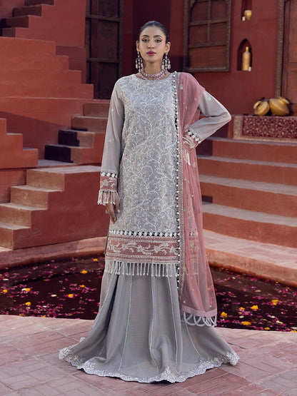 Salitex | Signature Festive Chiffon | SUNW6JI014UT XS Light Gray Zari