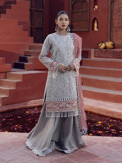 Salitex | Signature Festive Chiffon | SUNW6JI014UT XL Light Gray Zari