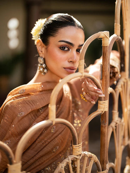 Salitex | Signature Festive Chiffon | SUNW6JI044UT M Brown Khaddi Net