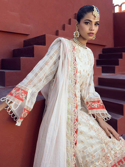 Salitex | Signature Festive Chiffon | SUNW6JI024UT M Off White Zari