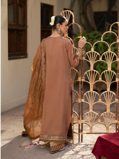 Salitex | Signature Festive Chiffon | SUNW6JI044UT S Brown Khaddi Net