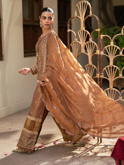 Salitex | Signature Festive Chiffon | SUNW6JI044UT XL Brown Khaddi Net