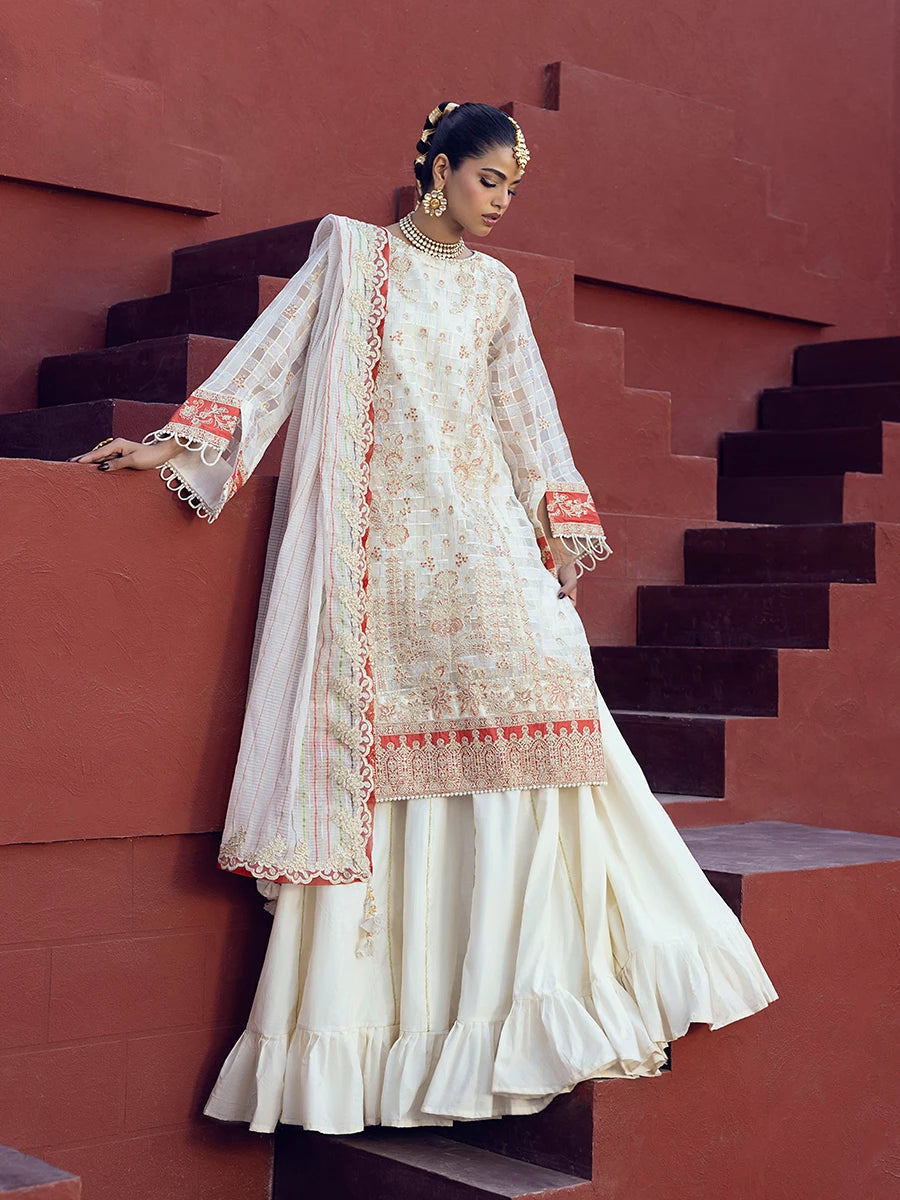 Salitex | Signature Festive Chiffon | SUNW6JI024UT XL Off White Zari