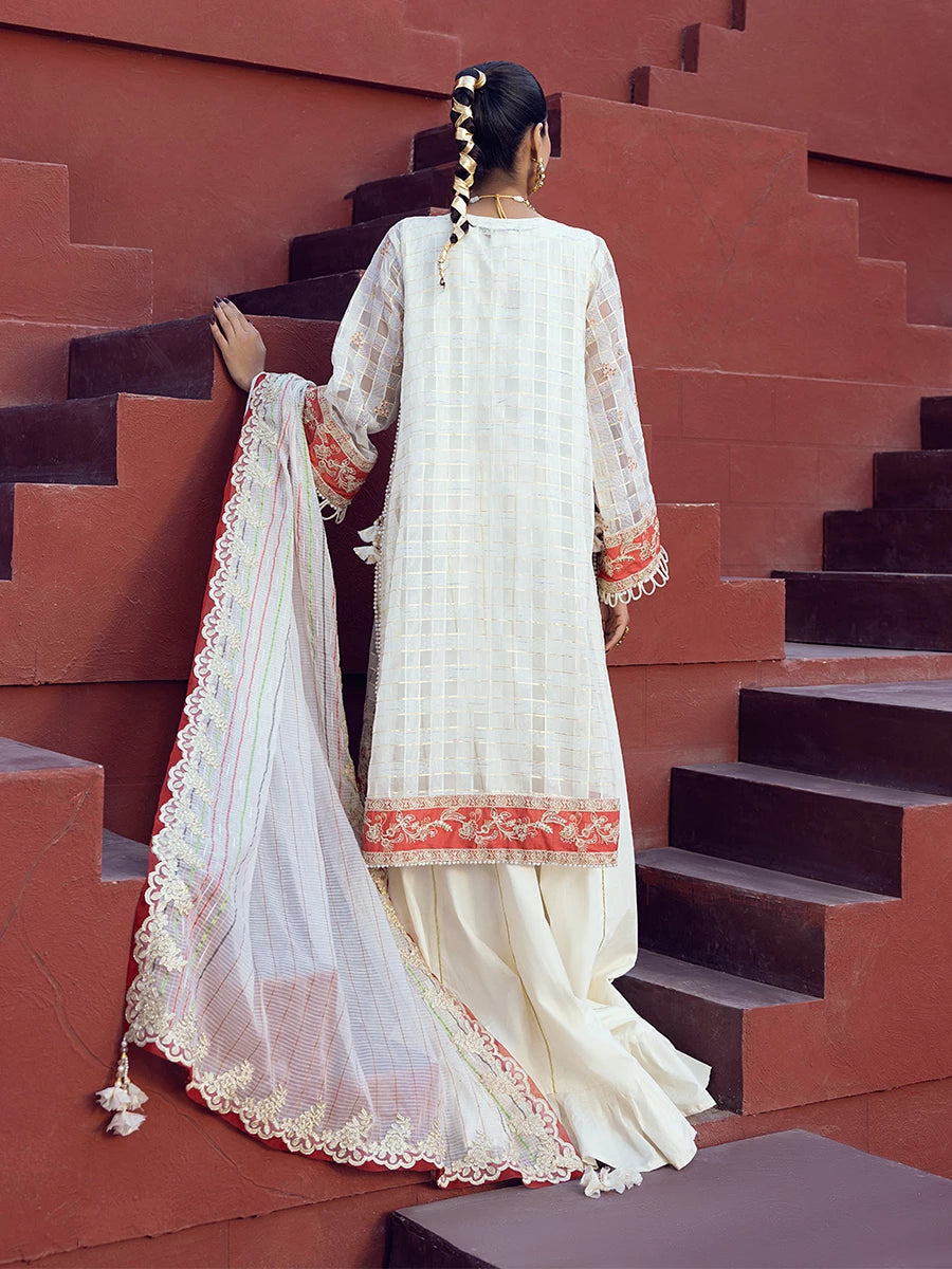 Salitex | Signature Festive Chiffon | SUNW6JI024UT S Off White Zari