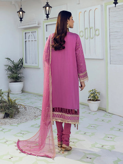 Salitex | Signature Festive Chiffon | SUNW6NO004UT S Rose Pink Cotton Net