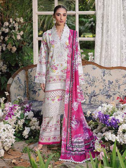 Rajbari | Schiffli Printkari Exclusive | Schiffli Printkari - 02 XS Pastel Gray Lawn