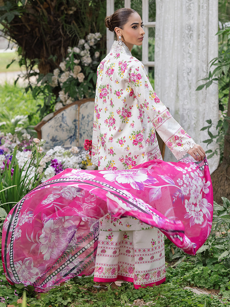 Rajbari | Schiffli Printkari Exclusive | Schiffli Printkari - 02 S Pastel Gray Lawn