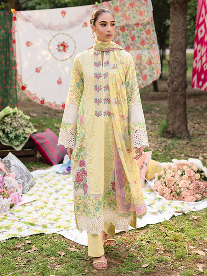 Rajbari | Schiffli Printkari Exclusive | Schiffli Printkari - 11 XS Pastel Yellow Lawn