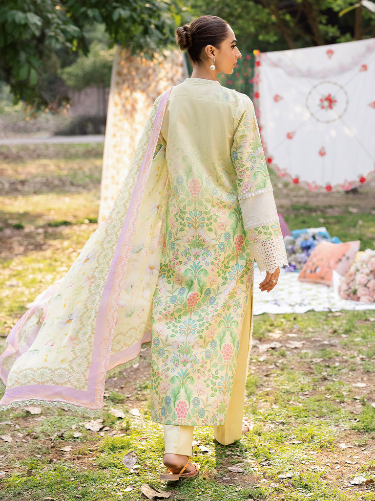 Rajbari | Schiffli Printkari Exclusive | Schiffli Printkari - 11 S Pastel Yellow Lawn