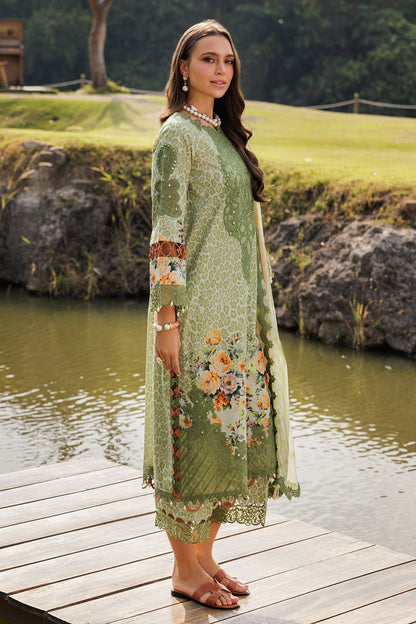 Charizma | Naranji Lawn 25 | CN5-11 XL Mint Lawn
