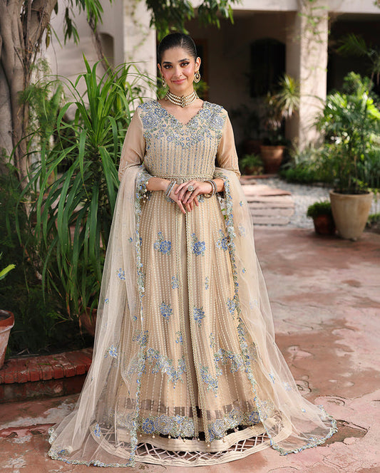 Roheenaz | Aangan Chiffon Collection 25 | Sehrish - Pakistani Designer Dress - by Roheenaz - Type : Ladies Clothes - 100% Original at Saira Sultan