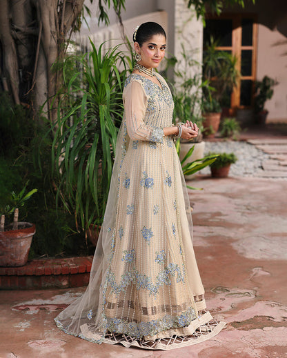 Roheenaz | Aangan Chiffon Collection 25 | Sehrish - Pakistani Designer Dress - by Roheenaz - Type : Ladies Clothes - 100% Original at Saira Sultan