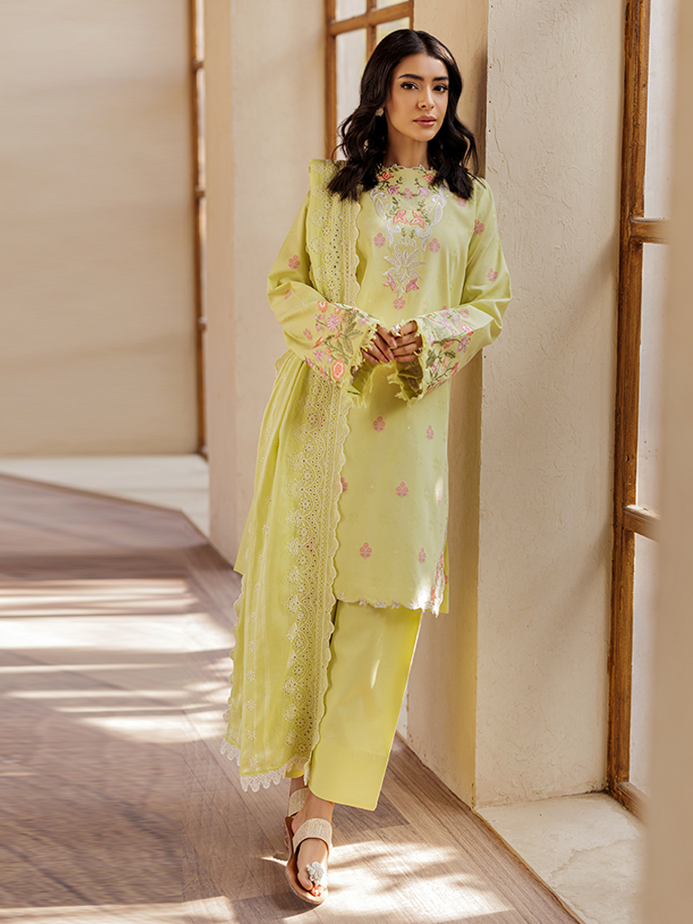 Rajbari | Amari Hybrid Jacquard Edition | Amari Jacquard - 08 XS Lime Jacquard Lawn
