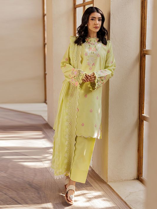 Rajbari | Amari Hybrid Jacquard Edition | Amari Jacquard - 08 XS Lime Jacquard Lawn