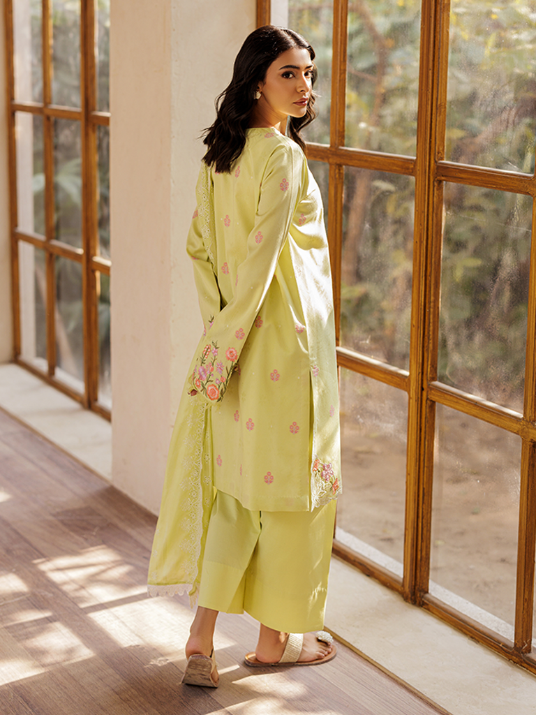 Rajbari | Amari Hybrid Jacquard Edition | Amari Jacquard - 08 S Lime Jacquard Lawn