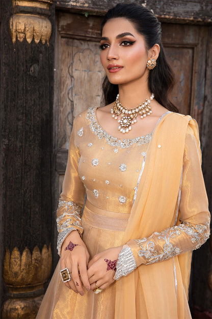 So Kamal | Wedding Festive 24 | MYSTIC M Gold Tissue