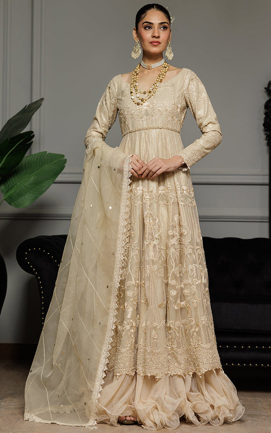 Threads and Motifs | Formal Dresses 25 | Net Embroidered Maxi - Pakistani Designer Dress - by Threads and Motifs - Type : Ladies Clothes - 100% Original at Saira Sultan