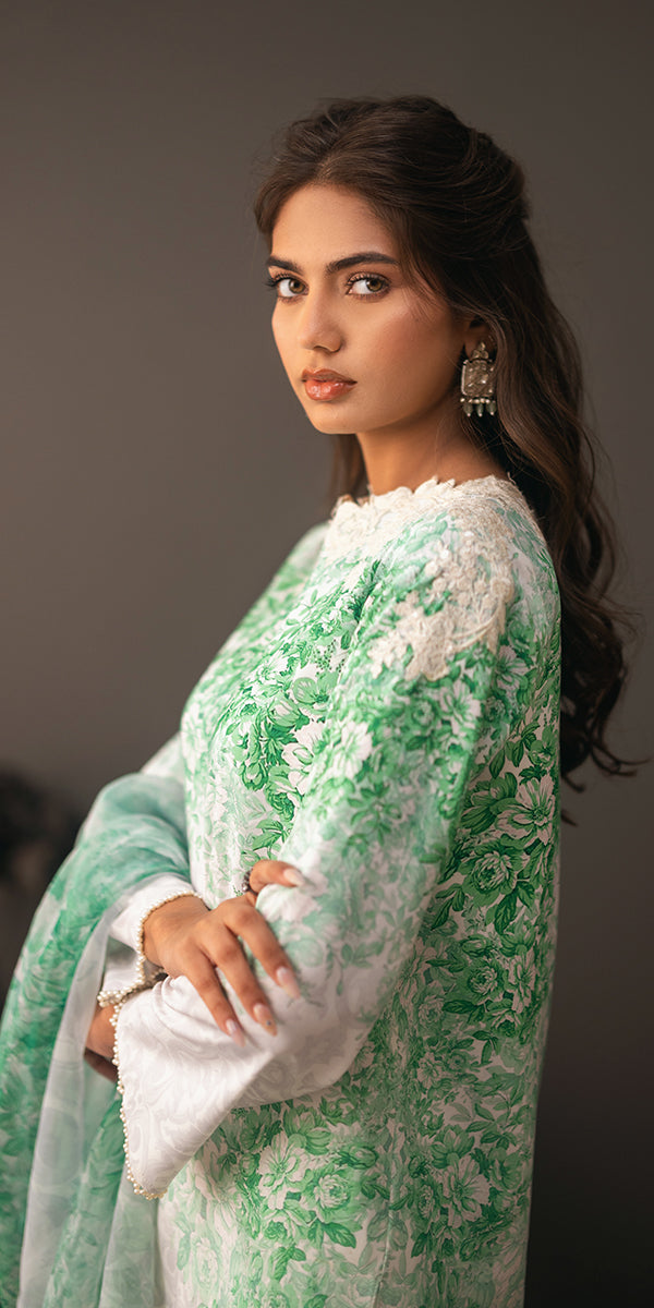 Erum Khan | Beyond Basic | VIVID ELEGANCE - Pakistani Designer Dress - by Erum Khan | Type: Ladies Clothes - 100% Original at Saira Sultan