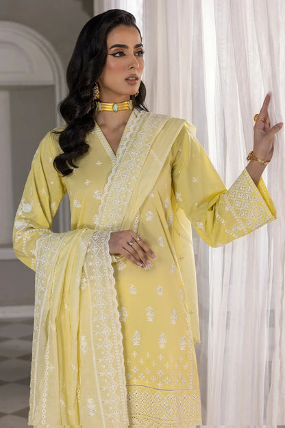 LSM | Embroidered Collection | 06 - Pakistani Designer Dress - by LSM | Type: Luxury - 100% Original at Saira Sultan