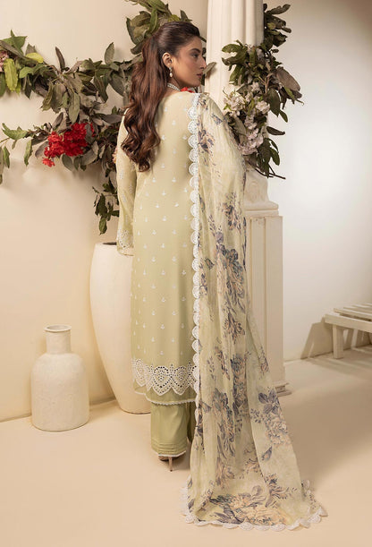 Adans Libas | Haelyn 25 | HAELYN 8 S Olive Lawn