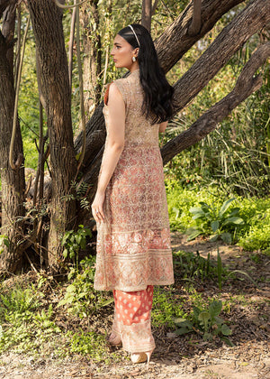 HSY | Summer Edit | Peach Terracotta - Pakistani Designer Dress - by HSY - Type : Ladies Clothes - 100% Original at Saira Sultan