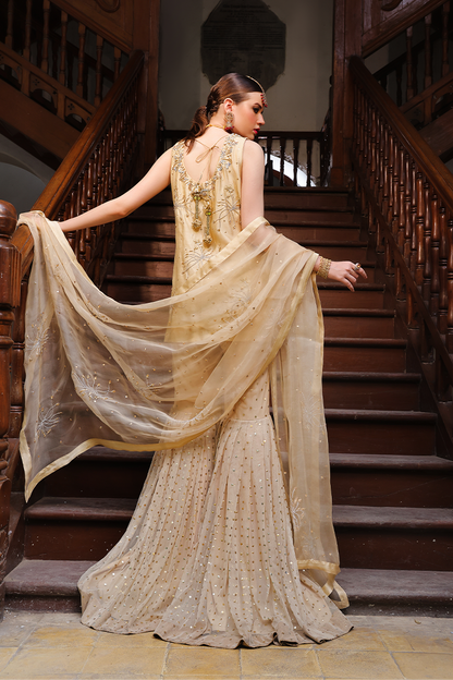 Mona Imran | Dilzaib Formals | Seerat S Beige Sheesha Silk