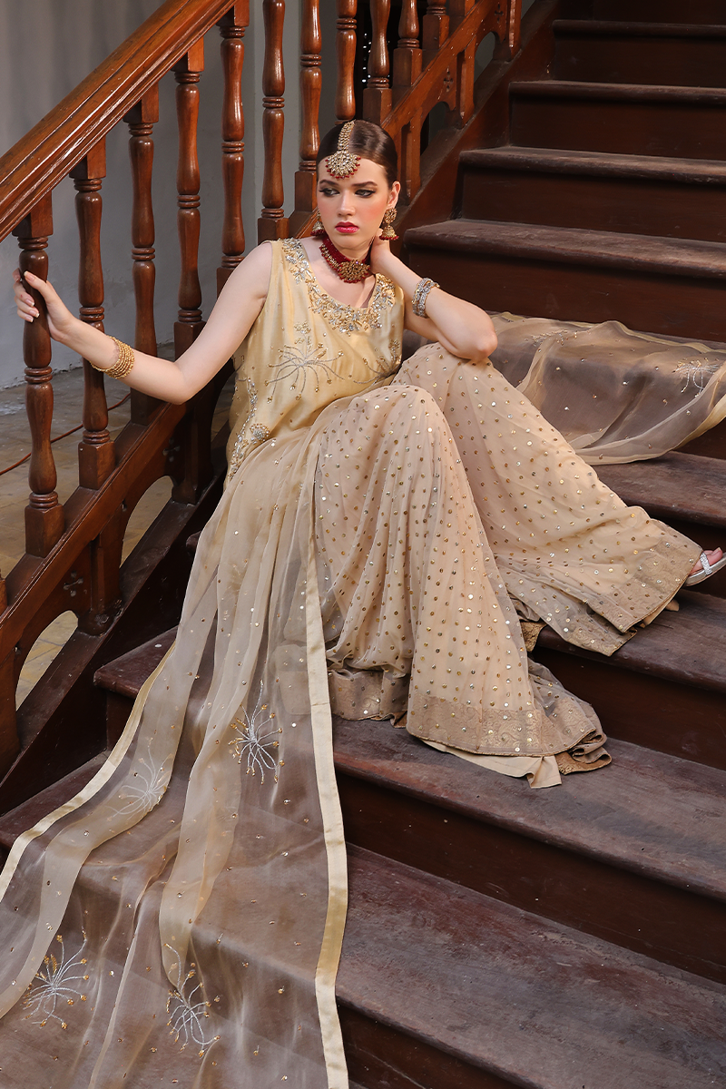 Mona Imran | Dilzaib Formals | Seerat Custom Size Beige Sheesha Silk