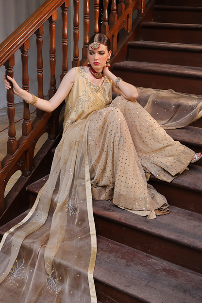 Mona Imran | Dilzaib Formals | Seerat Custom Size Beige Sheesha Silk